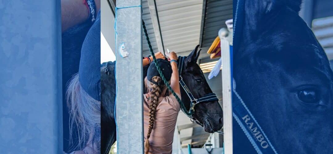 Llega a Madrid el primer curso de grooming de Raquel Ginoris