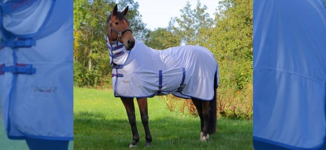 Qué regalarle por el Día de la Madre a una amante de la hípica