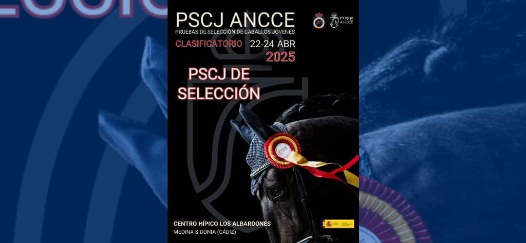 Arranca el calendario 2025 de las Pruebas de Selección de Caballos Jóvenes organizadas por ANCCE