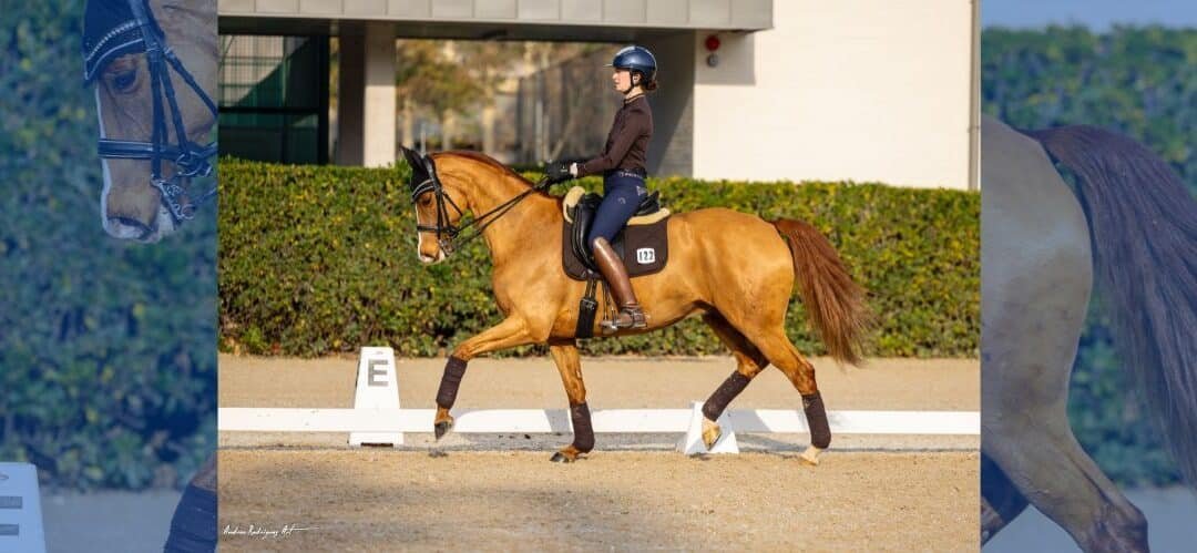 Leonardo, de Júlia Álvarez, emprende una nueva etapa en el País Vasco