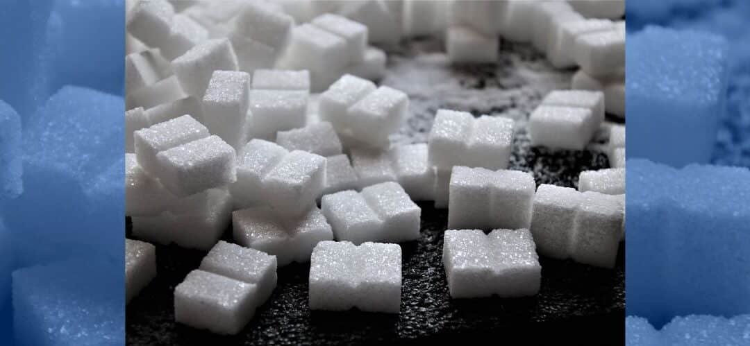 ¿Puedo darle azúcar a mi caballo?