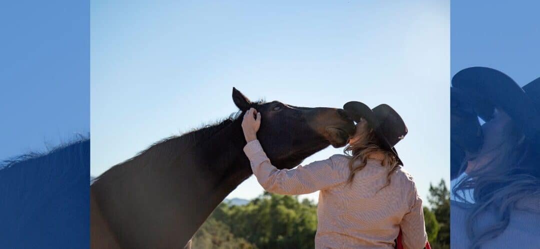 ¿Dónde les gusta a los caballos que les rasquen?