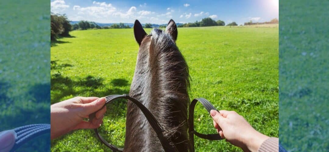 ¿Guantes sí o no? El eterno debate entre jinetes