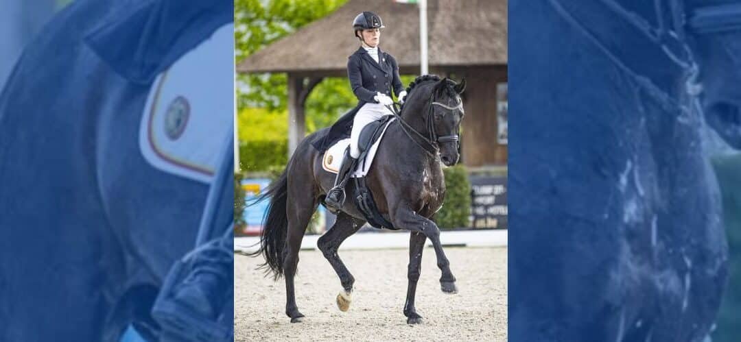 Cambios en el ranking FEI U25: Mallevaey toma el liderato