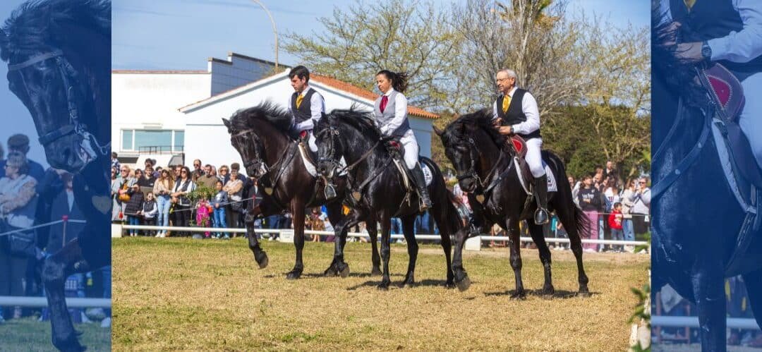 La Fira del Cavall reúne a más de 50 caballos menorquines en un espectáculo único