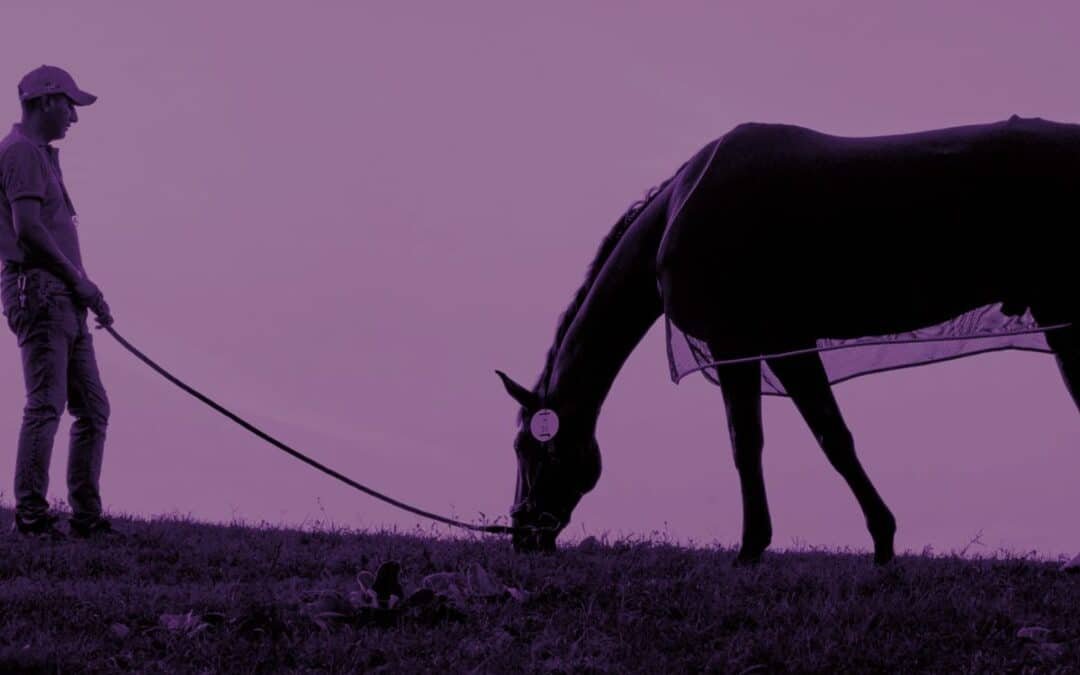 Iniciativa FEI “Be a Guardian” 