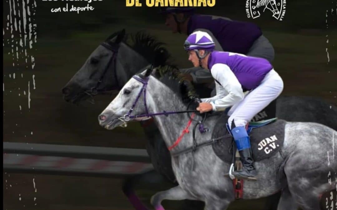 Los Realejos acoge el Campeonato de Canarias de Carreras de Caballos