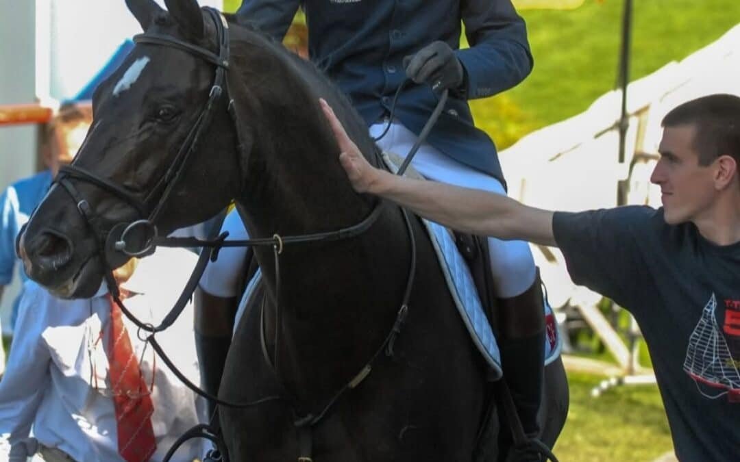 Fallece a los 26 años el destacado semental Selle Français Luccianno, una leyenda de la equitación francesa