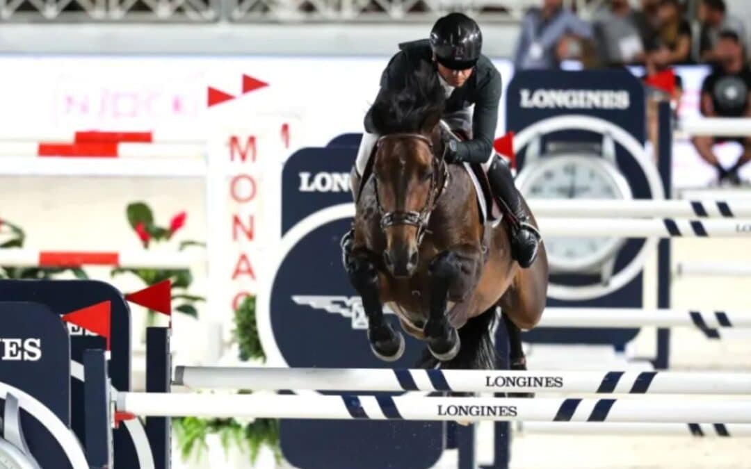 Susana García Cereceda lidera el ranking de criadores por los resultados de Donatello