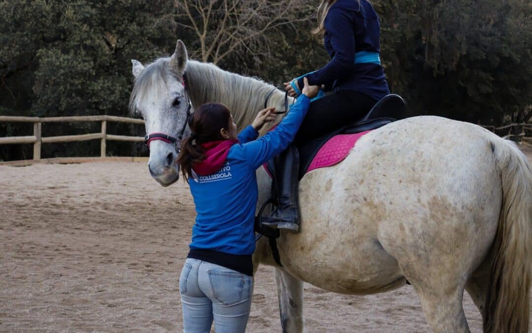 Un curso pionero para entender, cuidar y entrenar al caballo desde el respeto: Paddock Activo Collserola abre inscripciones para su 5ª edición