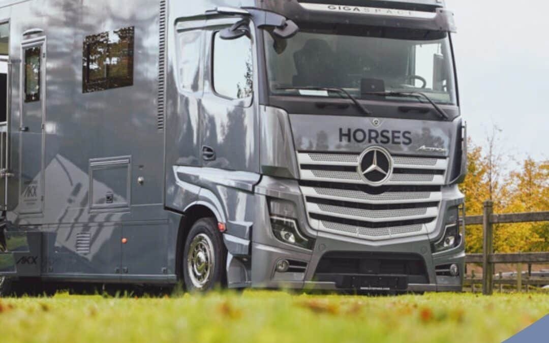 RM Horses: rutas internacionales con el bienestar del caballo como prioridad