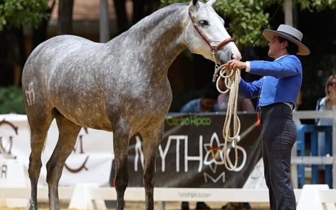 Finalizó SERVA, tras varias jornadas ecuestres