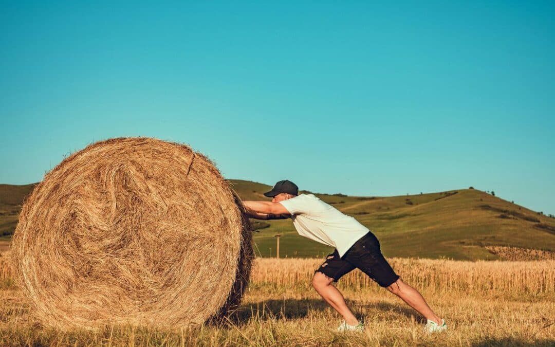 ¿Qué es un test de esfuerzo para caballos?