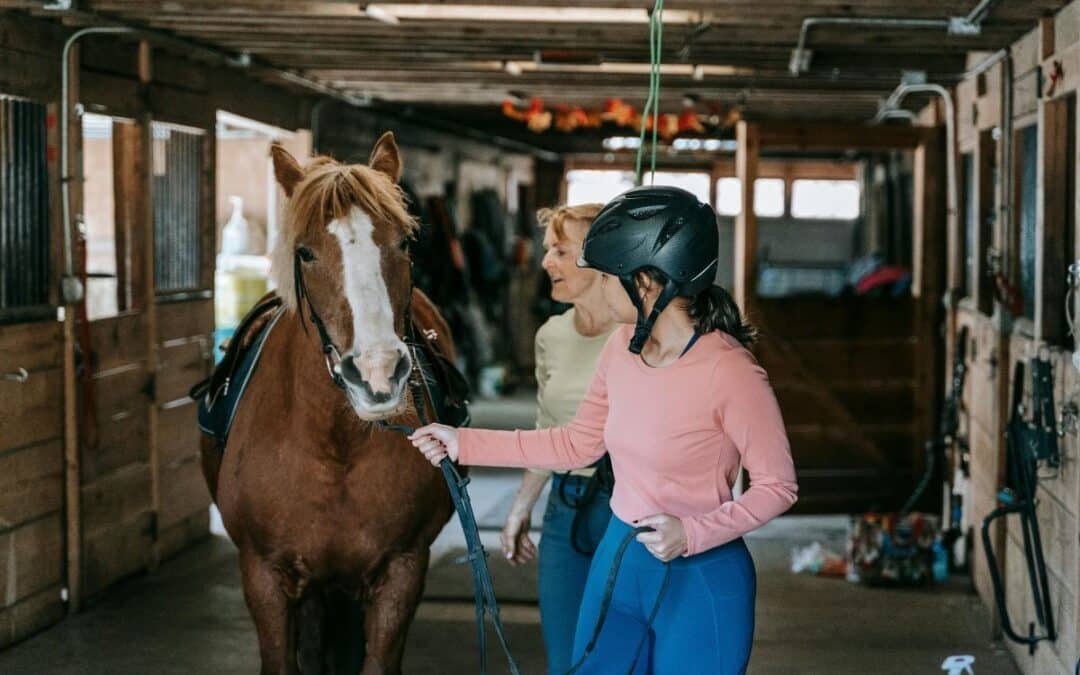 Reinserción de drogodependientes gracias a los caballos