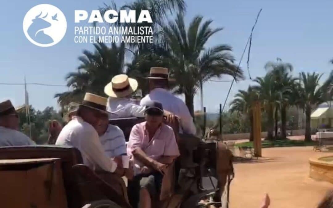 PACMA vuelve a centrar su foco en las calesas de la Feria de Córdoba