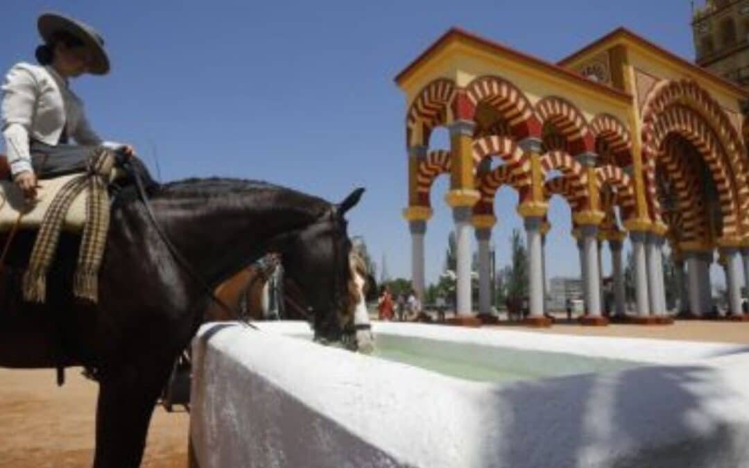 La Feria de Córdoba se preocupó por el estado de salud de sus caballos