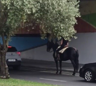 Viralizado un vídeo de un joven montando a caballo por las calles de Salamanca