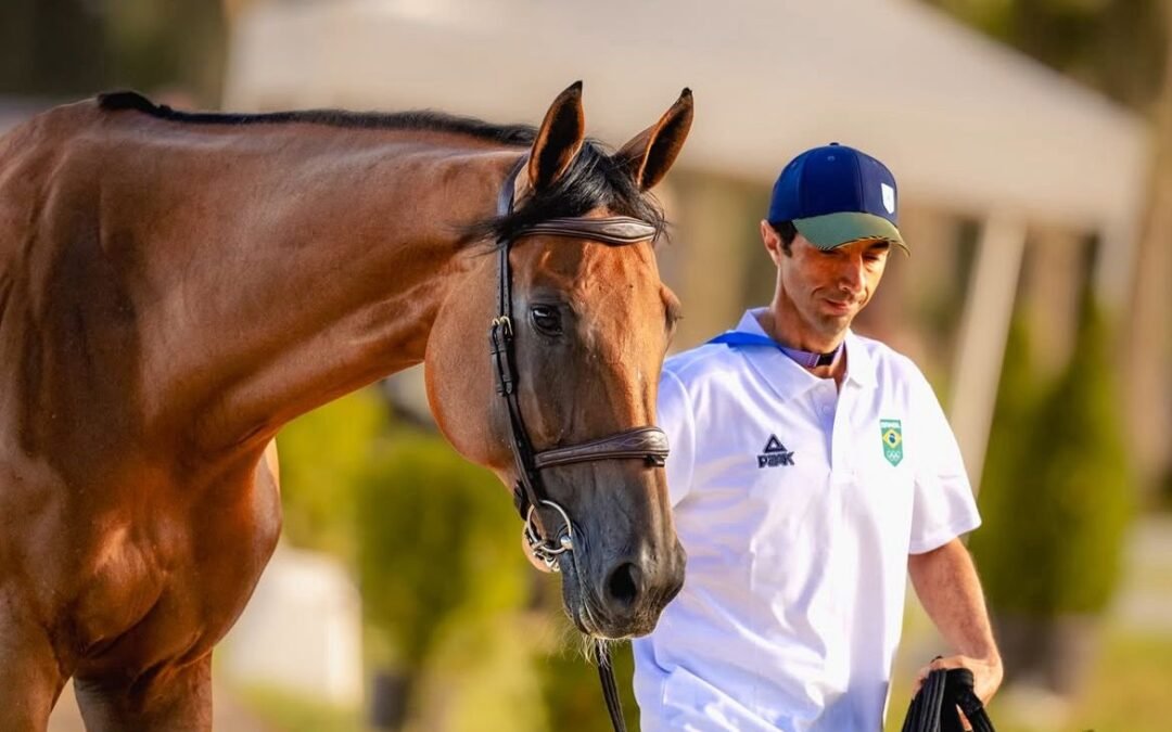 Falleció repentinamente Miss Blue-Saint Blue Farm, yegua que competía Yuri Mansur