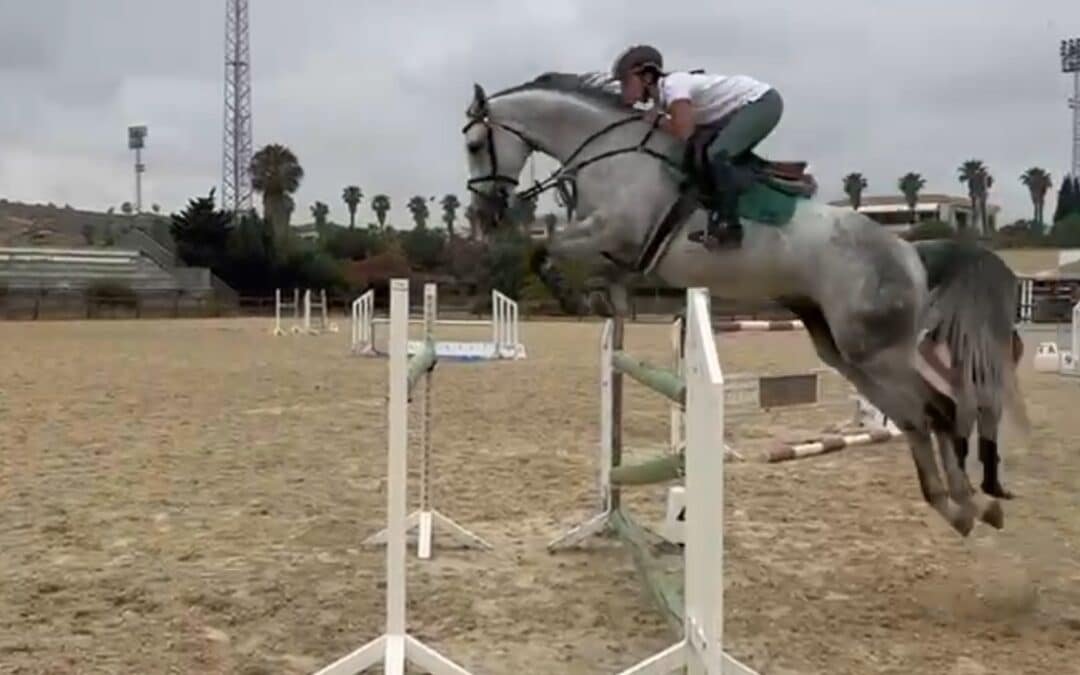 Cova de Capellán, nuevo refuerzo de la cuadra de Carmen Bernal