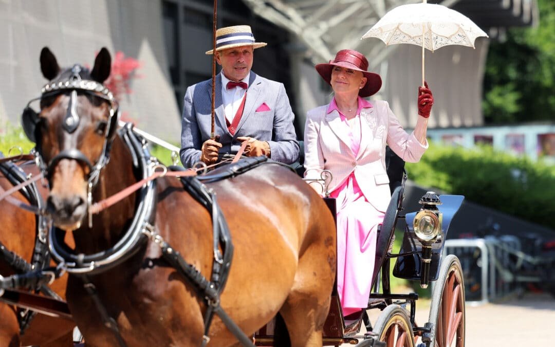 Variedad de razas, joyas sobre ruedas y un marco perfecto: el espectáculo de conducción tradicional en el CHIO de Aachen 2025, un éxito total