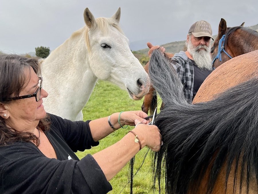 Un refugio para caballos en el Pirineo y joyas hechas con su crin: la vida singular de una pareja en Montcortès