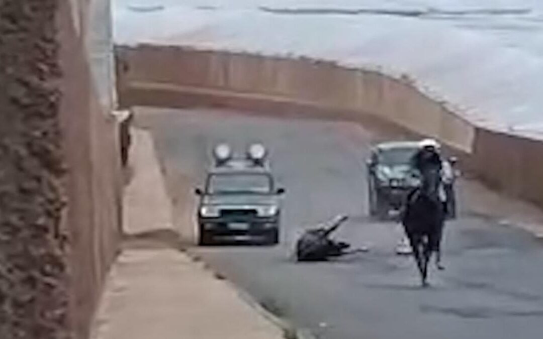 El dueño del caballo fallecido durante una carrera en Gran Canaria se ha pronunciado