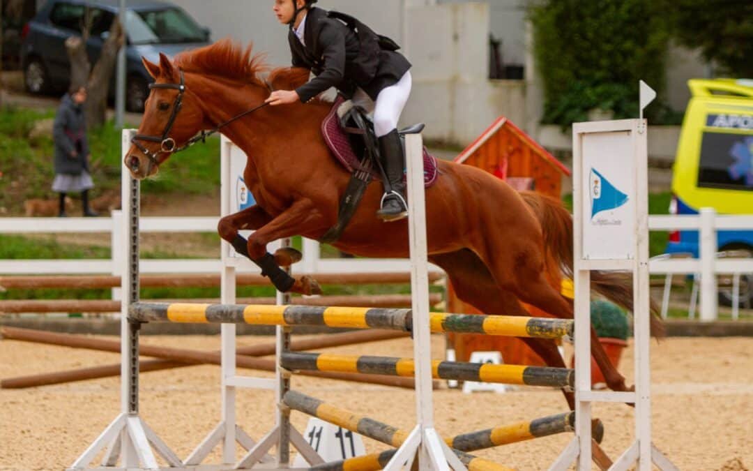 La Sociedad Deportiva Hípica de A Coruña en pleitos en el Tribunal Supremo