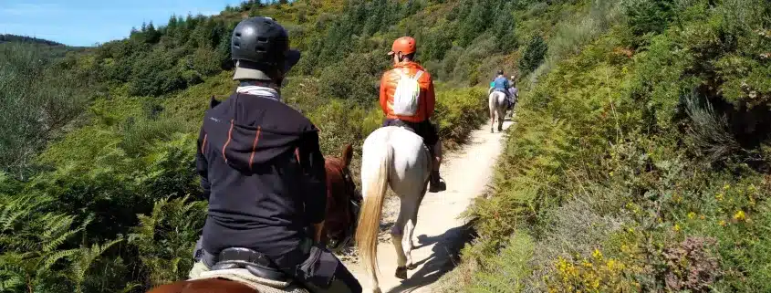 Dos familias holandesas recorren la Ruta Jacobea acompañadas de un caballo y un burro