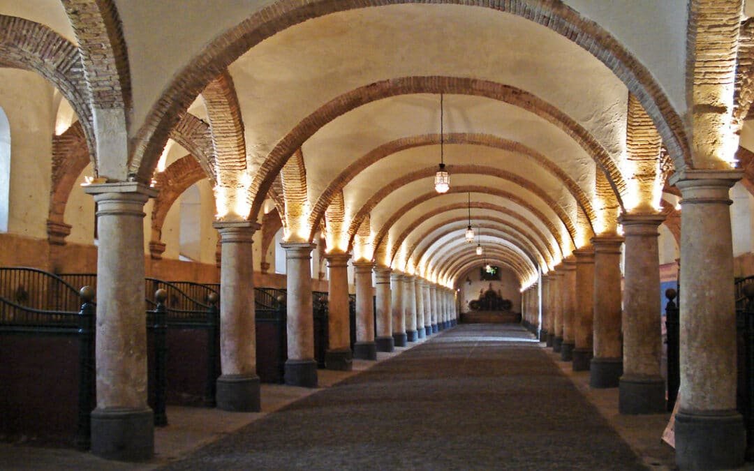 El Ayuntamiento de Córdoba amplía la cesión de las Caballerizas Reales