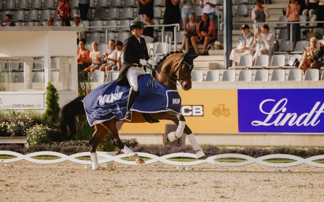 CHIO Aachen 2025: McLain Ward con High Star Hero gana el premio STAWAG para EE. UU.