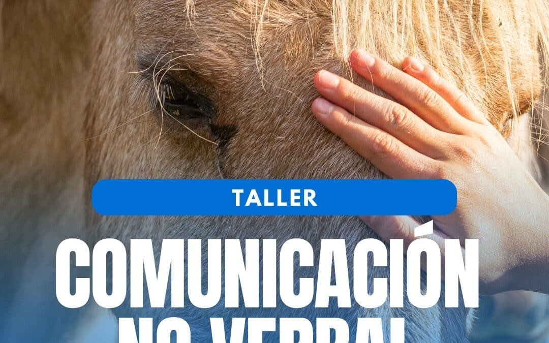 Irene Funes impartirá un taller en Paddock Activo Collserola sobre comunicación no verbal