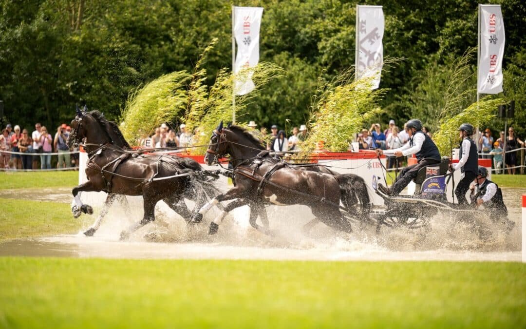 CHIO Aachen 2025: Exell destaca en el premio Schwartz Group
