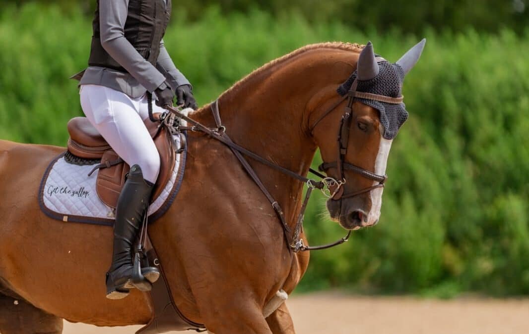 Hermanos de sangre y de arena: una final histórica en Falsterbo