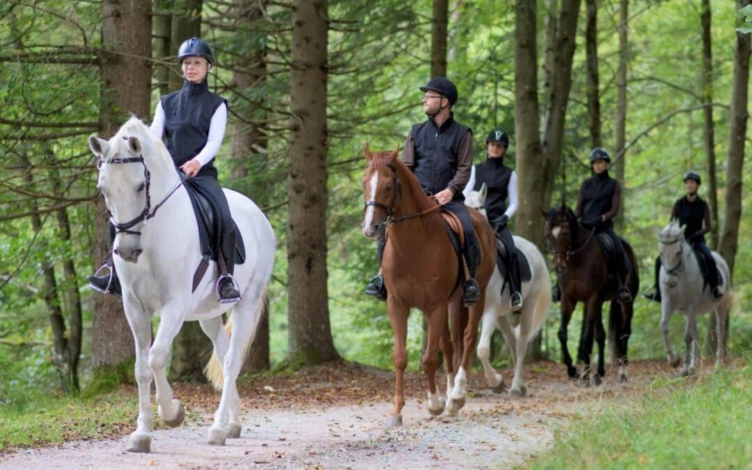 Gorbeialdea potencia el turismo ecuestre en Zigoitia