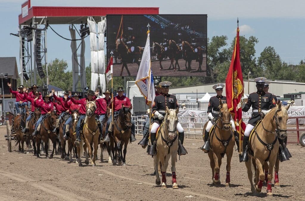 El ejército de Estados Unidos retirará a sus caballos del servicio
