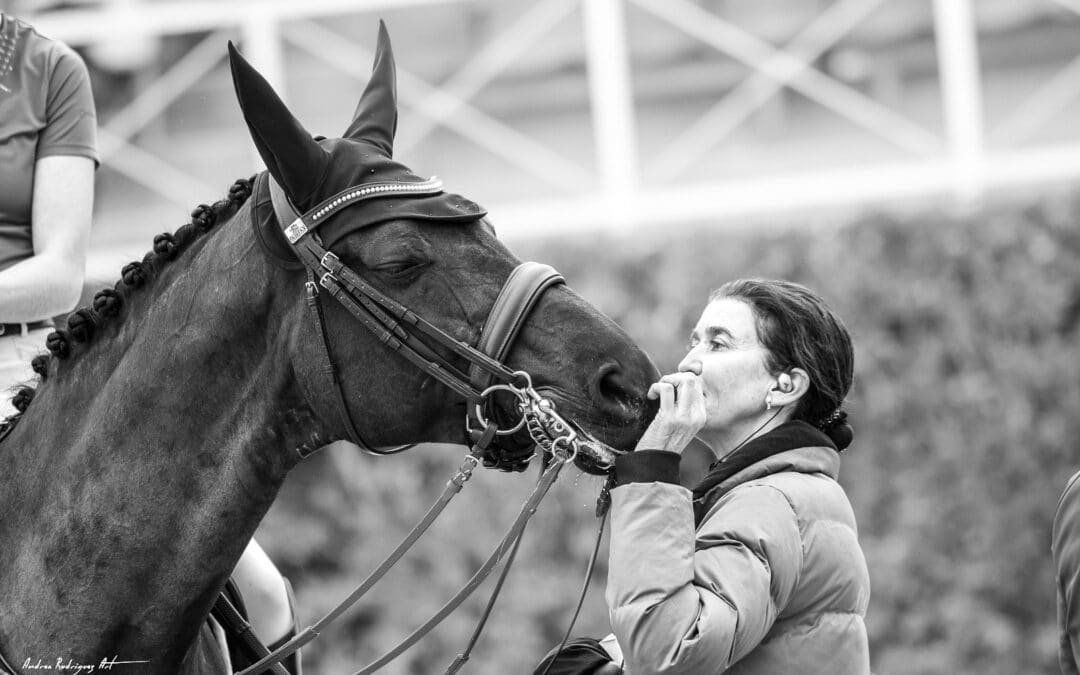 Hoy es el Día Mundial del Caballo