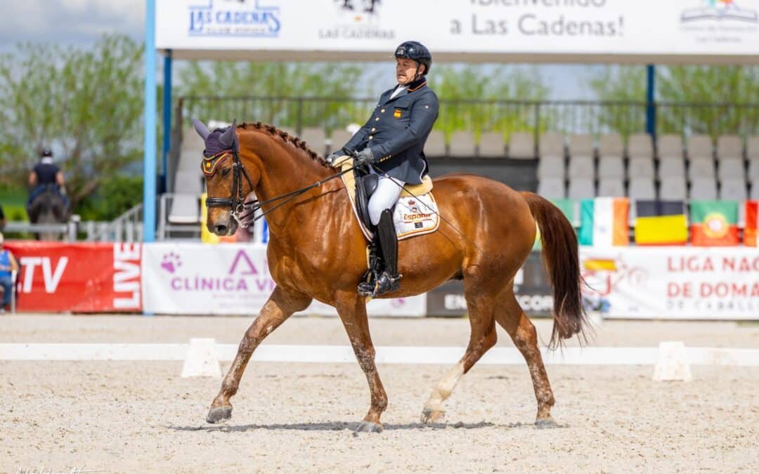 La RFHE anuncia el equipo español para el Campeonato de Europa de Doma Paralímpica 2025 en Ermelo