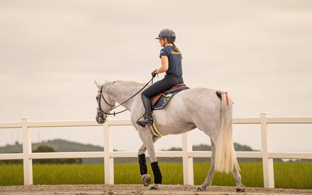 Todo listo en Casas Novas para el comienzo del Campeonato de Europa de Saltos Longines FEI