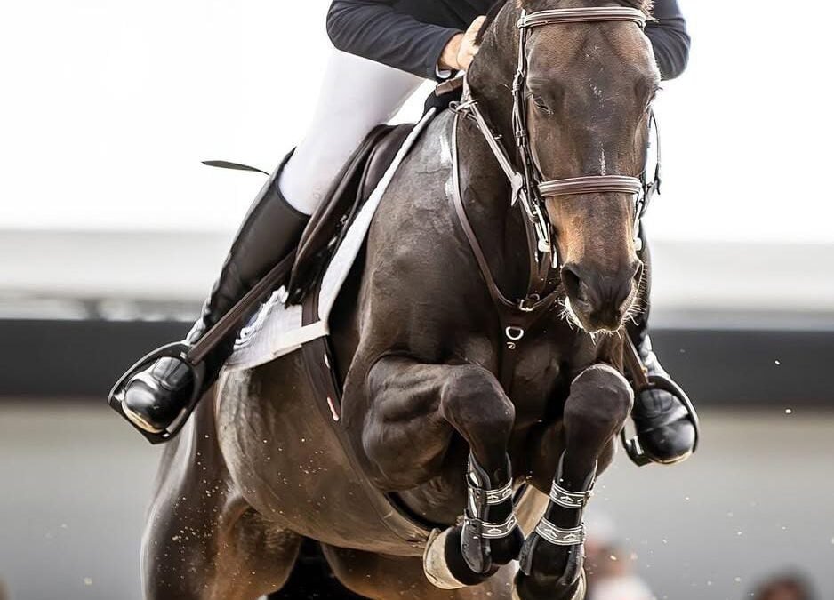 El equipo español obtiene el “OK” en la inspección veterinaria para el Campeonato de Europa de Saltos