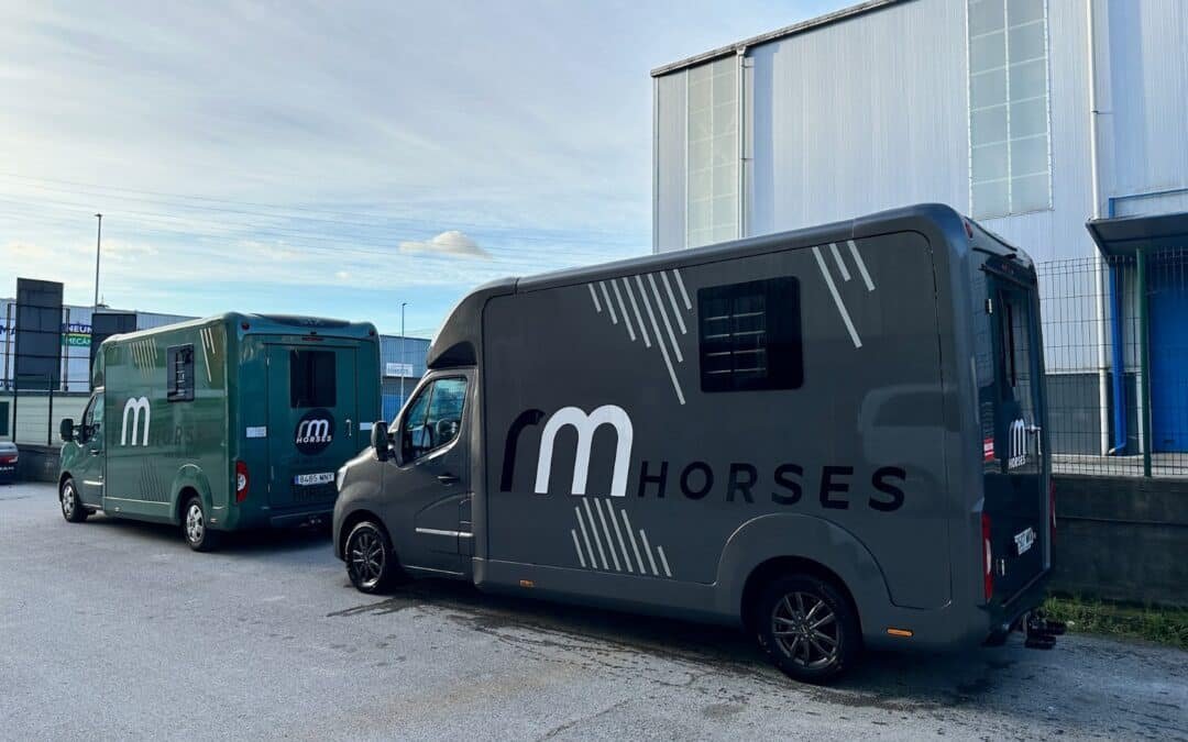 Cinco razones por las que cada vez más gente confía en RM Horses para mover sus caballos por Europa