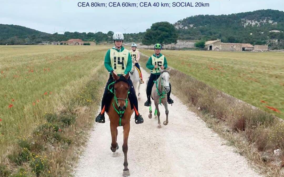 Aragón se prepara para acoger el FEI de Raid en Yeguada Villa de Goya