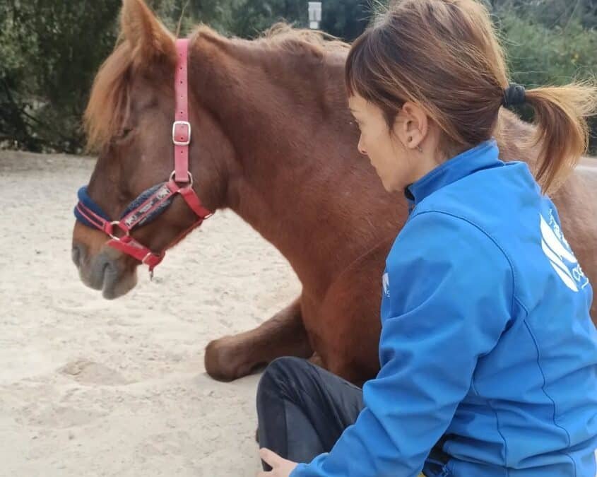 El arte de comprender al caballo, de la mano de Paddock Activo Collserola
