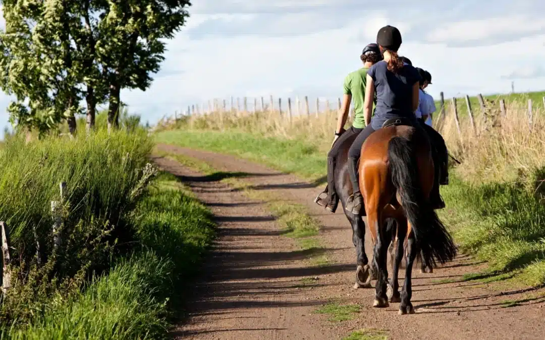 España continúa al alza en turismo ecuestre