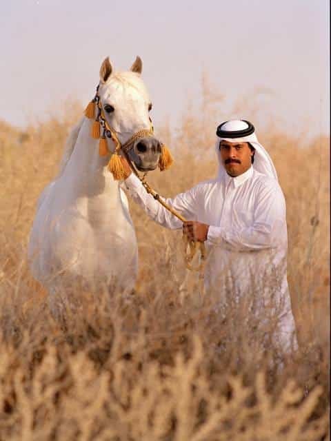 Chile y Qatar estrechan lazos gracias a la hípica