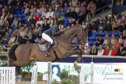 El KWPN Lorenzo ES pasa a formar parte de la Federación Ecuestre de Arabia Saudí