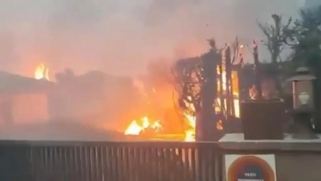 Yeguada Anantara y Equitación Magerit se movilizan para ayudar a caballos en Tres Cantos