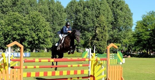 Todo listo para el Precampeonato de Castilla y León de Salto