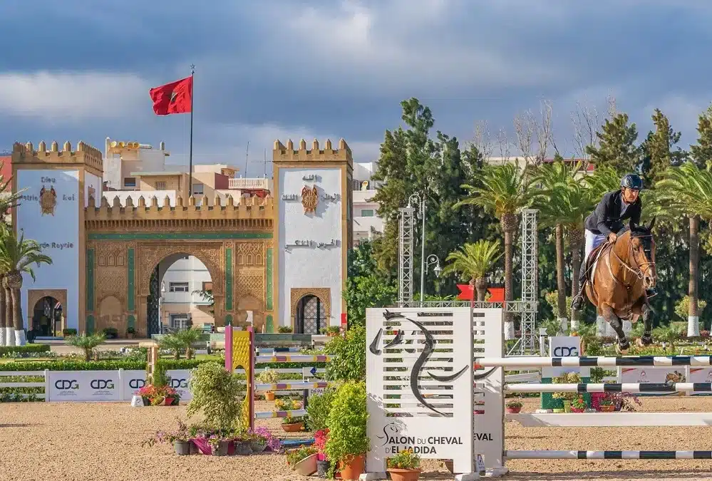 Conoce el organigrama del Morocco Royal Tour