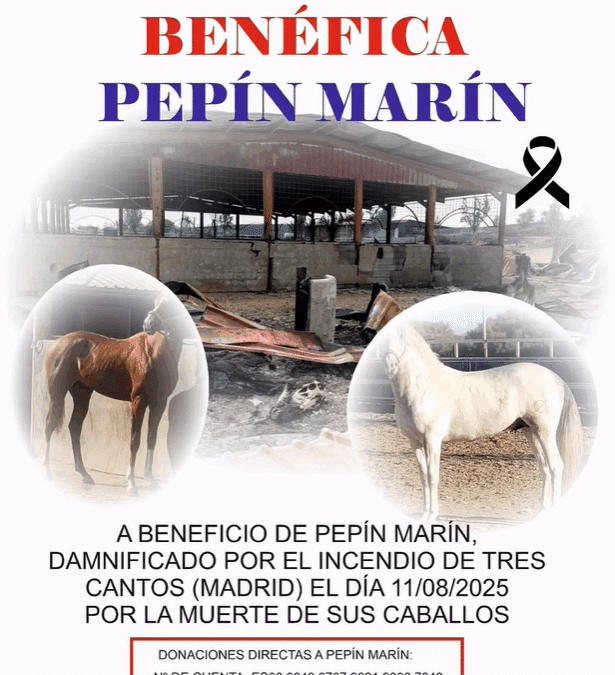 Tragedia ecuestre en Tres Cantos: una llamada a la solidaridad