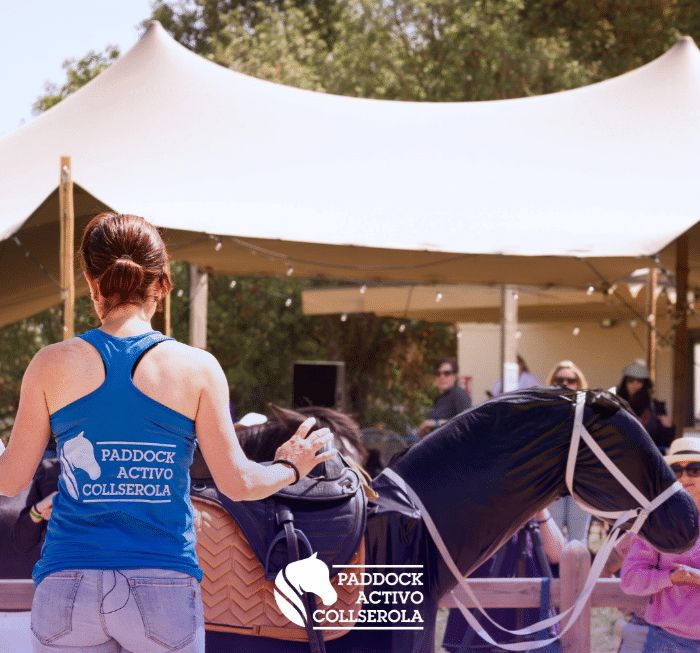 Paddock Activo Collserola presenta su Curso de Entrenador de Biomecánica del Jinete con Simulador